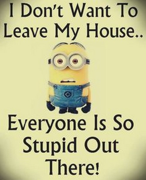 Funny minions 04
