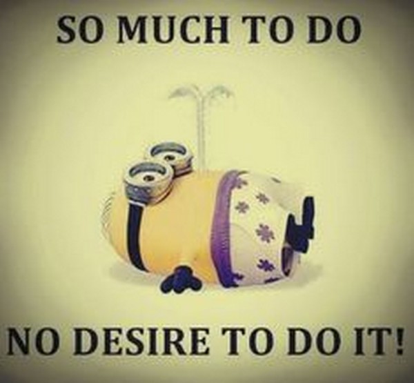 Funny minions 06