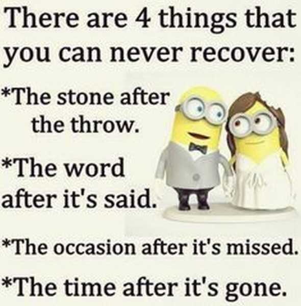 Funny minions 09