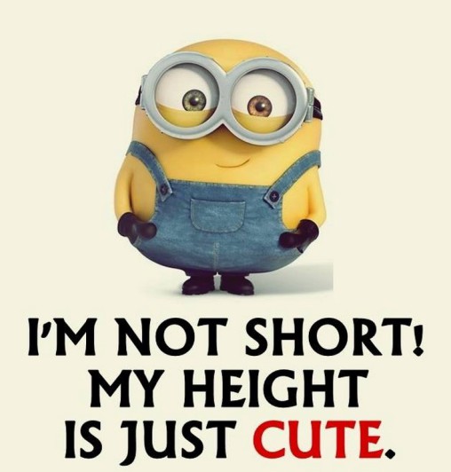 funny minion captions 108