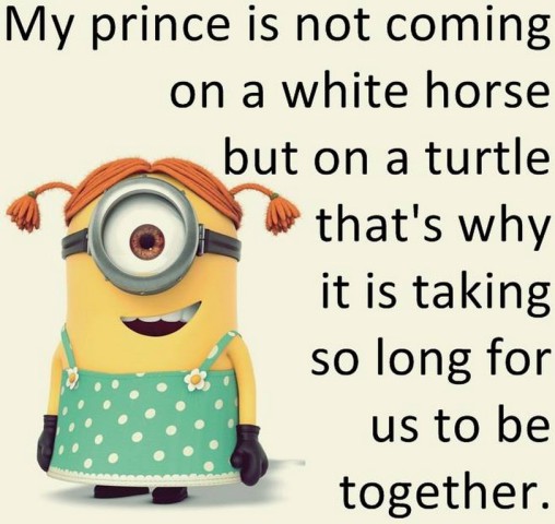 funny minion captions 200