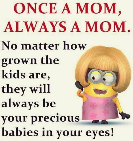 funny minion pictures 100