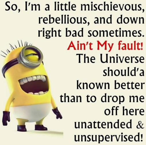 Funny Minion quotes funny 361