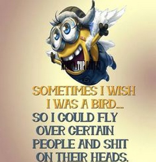 Minions pictures jokes