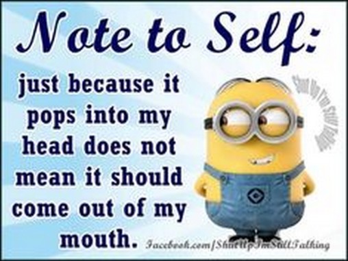 Funny Minions Funny 227_001