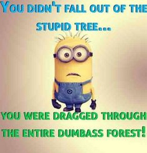 Funny Minions Funny 564