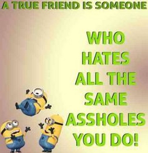 Funny Minions Funny 593