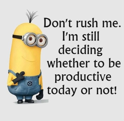 LOL Funny minions   09