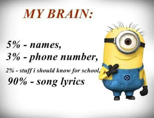 LOL Funny minions   10