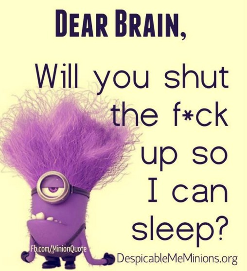 Funny Minions Quotes 099