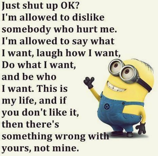 Funny Minions Quotes 269