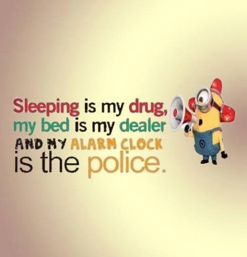 Funny minions quotes 033