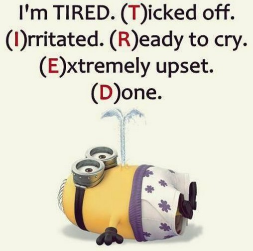 New Minions Quotes 372