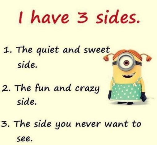 New Minions Quotes 568