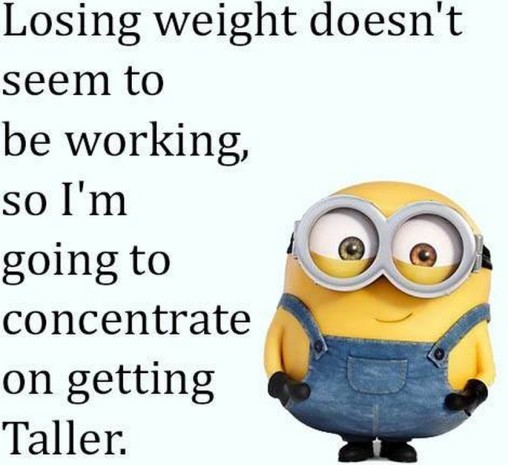 Pictures of Minions 027