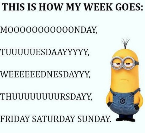 Minions cute images, Minions cute images of the hour, Free Minions cute images, Today Minions cute images, Random Minions cute images, Best Minions cute images