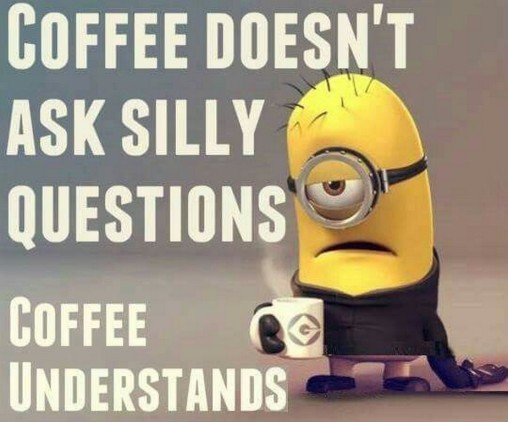 Minions quotes 069