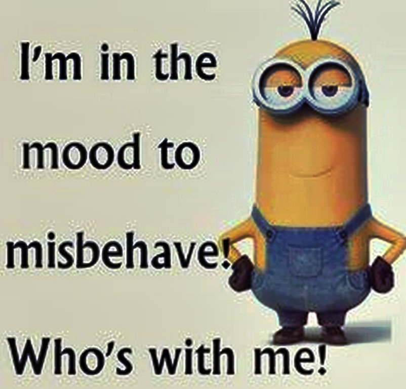 top-cool-minions-01-12-12