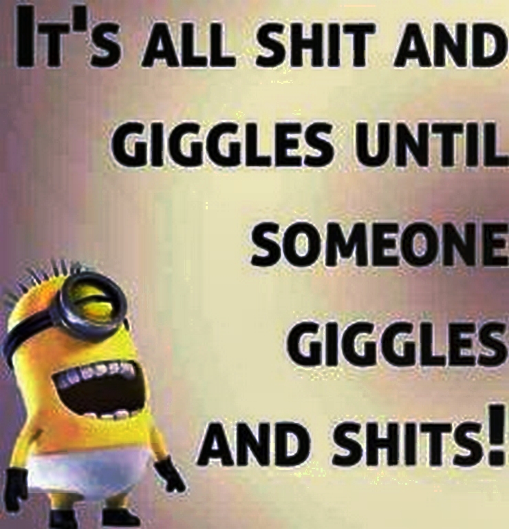 top-cool-minions-01-12-27