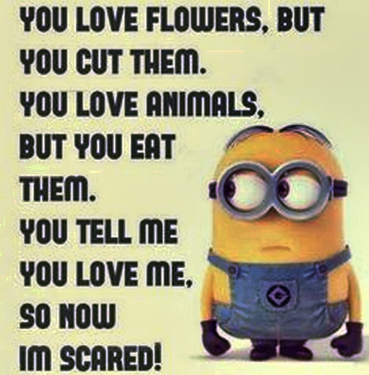 top-cool-minions-01-12-30