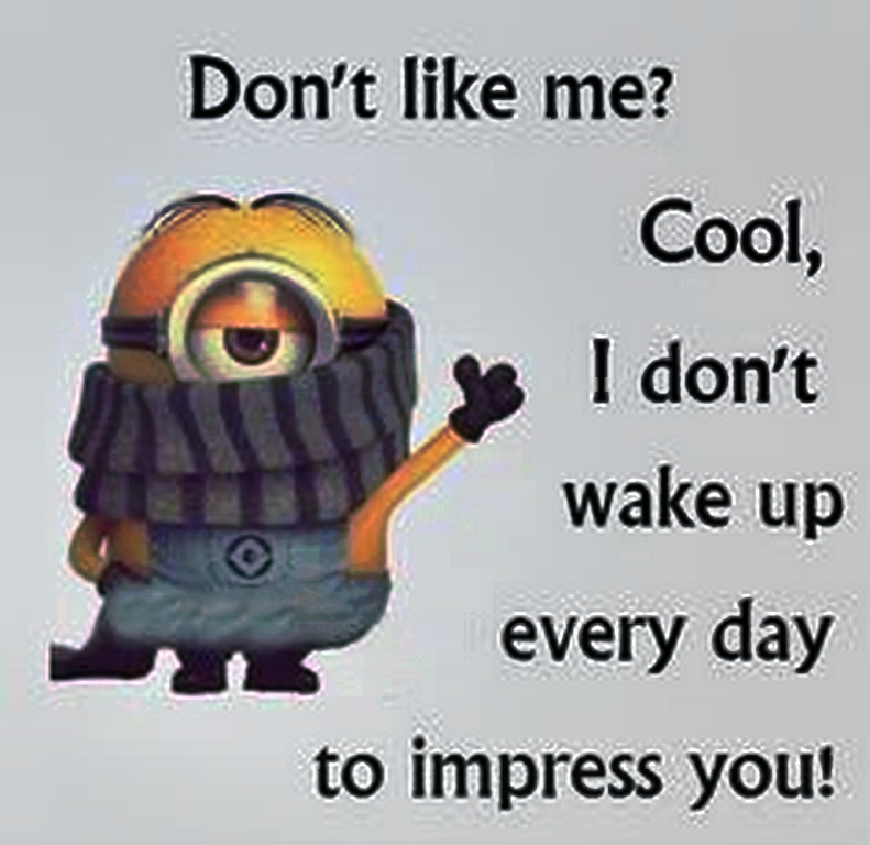 top-cool-minions-01-12-32