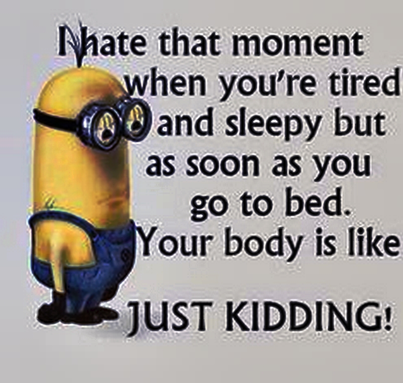 top-cool-minions-01-12-37