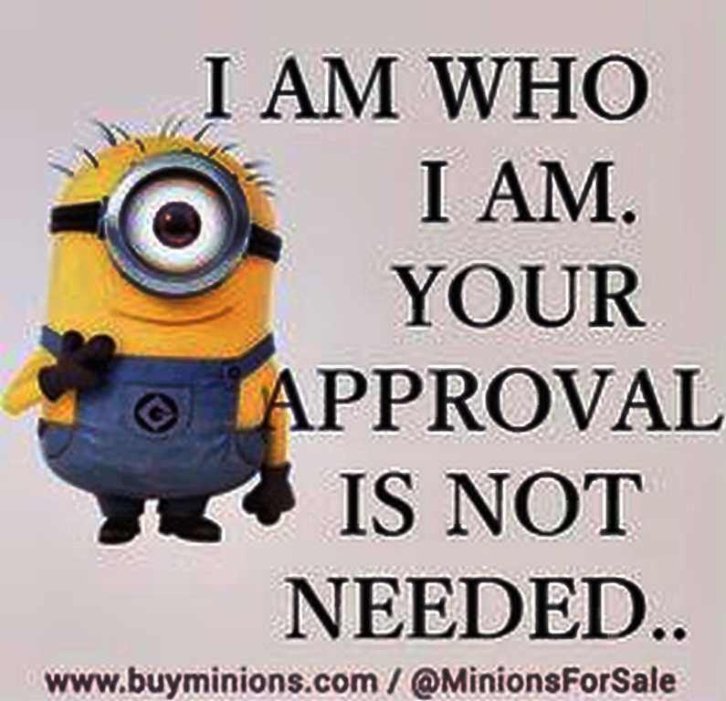 top-cool-minions-01-12-38