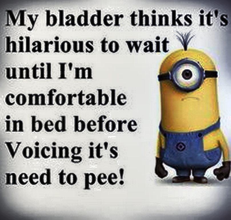 top-cool-minions-01-12-40