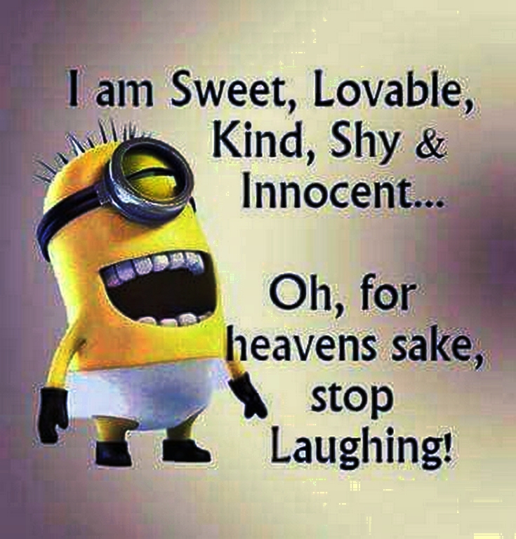 top-cool-minions-01-12-43