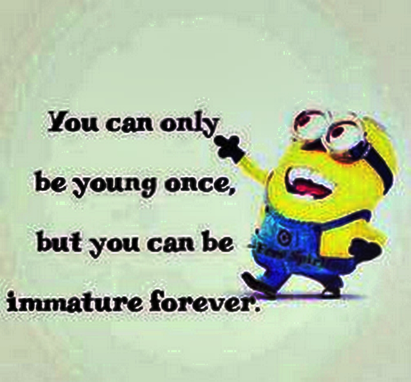 top-cool-minions-01-12-48