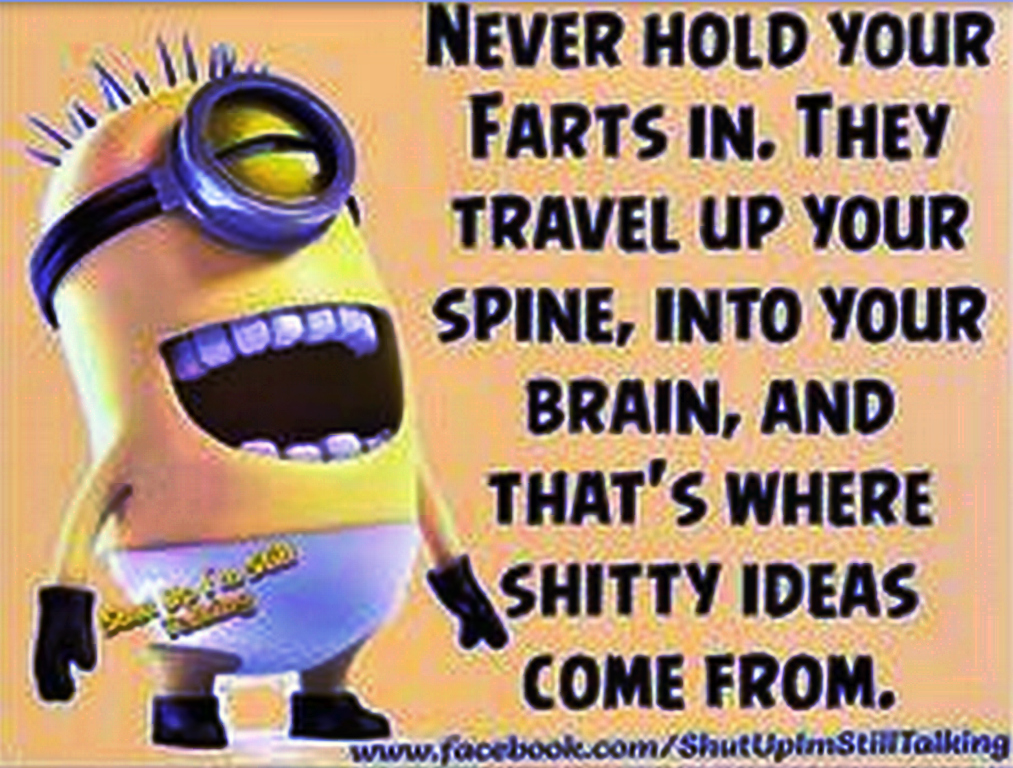 top-cool-minions-01-12-52