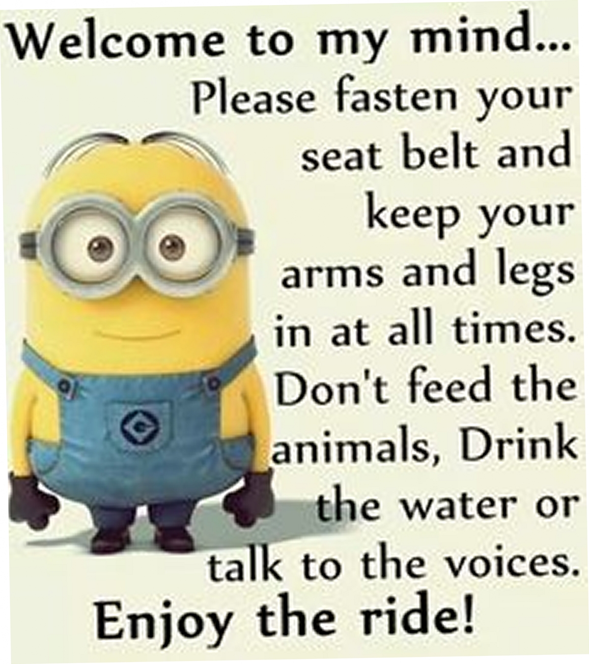 Minion Quotes, Random Minion Quotes, Free Minion Quotes, Cute Minion Quotes, Best Minion Quotes, Super Minion Quotes, Today Minion Quotes , Minion Quotes of the day, Top Minion Quotes
