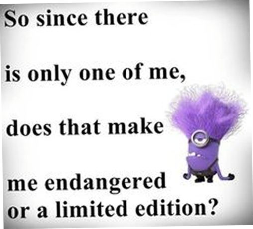 Minion Quotes, Random Minion Quotes, Free Minion Quotes, Cute Minion Quotes, Best Minion Quotes, Super Minion Quotes, Today Minion Quotes , Minion Quotes of the day, Top Minion Quotes