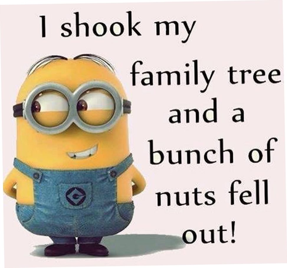 Minion Quotes, Random Minion Quotes, Free Minion Quotes, Cute Minion Quotes, Best Minion Quotes, Super Minion Quotes, Today Minion Quotes , Minion Quotes of the day, Top Minion Quotes